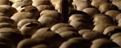 Rwanda 13 mai 1994 massacre de 40 000 civils en un jour: &laquo;&nbsp;Nous ne faisions que contrôler si il y avait des survivants et les tuer&nbsp;&raquo;